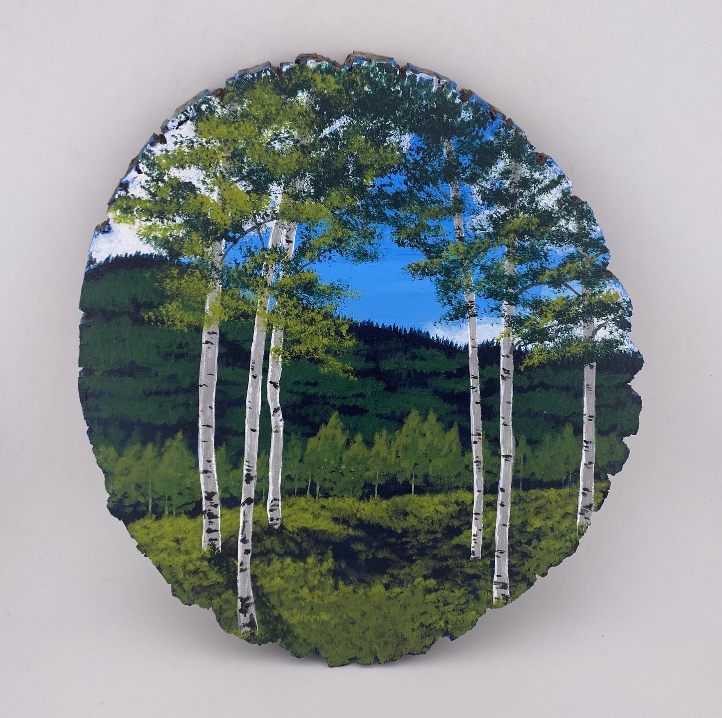 "Colorado Scenic View", Acrylic On Wood, 9" W x 9.75" H x 0.56" D, Signed